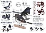  animal animal_focus bird black_eyes chinese_commentary chinese_text closed_mouth commentary flying from_side full_body garlica highres information_sheet multiple_views music musical_note no_humans open_mouth original simple_background singing speech_bubble translation_request white_background 