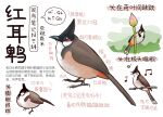  animal animal_focus bird black_eyes chinese_commentary chinese_text closed_mouth commentary flower from_side full_body garlica highres multiple_views music musical_note no_humans open_mouth original pink_flower simple_background singing speech_bubble translation_request white_background 