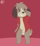  animal_crossing animal_genitalia animal_penis balls bottomless canid canine canis clothed clothing clothing_fur digby_(animal_crossing) domestic_dog genitals hair hi_res looking_at_viewer mammal nintendo nutty_bo penis sheath shirt shy simple_background smile topwear unbuttoned_shirt video_games 