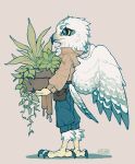  1boy artist_name beak bird_boy bird_legs bird_tail bird_wings black_eyes blue_pants brown_jacket carrying colored_sclera feathered_wings feathers from_side full_body furry furry_male grey_background highres holding holding_plant jacket leaf long_sleeves male_focus original owl_boy pants plant potted_plant pouch profile shuini_xiaomao signature simple_background solo standing tail talons white_feathers wings yellow_sclera 
