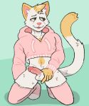  5:6 balls clothing crop_top domestic_cat felid feline felis fur genitals hi_res legwear male mammal orange_body orange_fur penis pinup pose presenting shadyhouse shirt solo thigh_highs tongue tongue_out topwear white_body white_fur 