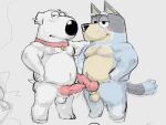  animal_genitalia animal_penis anthro balls bandit_heeler bluey_(series) brian_griffin canid canine canine_penis canis collar domestic_dog duo erection family_guy genitals knot male male/male mammal penis tora_gy 