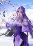  1girl absurdres artist_request blue_sky branch cloud dress flower highres long_hair long_sleeves looking_at_viewer mountain needle parted_lips purple_dress purple_eyes purple_hair qin_shi_ming_yue second-party_source shiny shiny_hair sky snow solo under_clothes upper_body zi_nu_(qin_shi_ming_yue) 