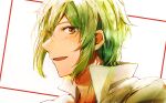  1boy :o absurdres blush coconoe_(kazura_kuju) green_eyes green_hair highres jude_(seijo_no_maryoku_wa_bannou_desu) looking_at_viewer male_focus portrait seijo_no_maryoku_wa_bannou_desu shirt short_hair simple_background solo white_background white_shirt 