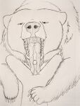  ambiguous_gender anthro anthro_on_feral bestiality bodily_fluids brown_bear claws cum cum_in_mouth cum_inside cumshot cumshot_in_mouth duo ejaculation fellatio feral genital_fluids genitals graphite_(artwork) grizzly_bear hgythshs hi_res larger_ambiguous larger_feral licking male mammal monochrome mouth_shot nude open_mouth oral oversized_oral pencil_(artwork) penile penis penis_lick presenting_mouth saliva saliva_string sex size_difference size_play smaller_anthro smaller_male tongue tongue_out tongue_taco traditional_media_(artwork) ursid ursine 