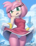  amy_rose anthro blush clothed clothing dress eulipotyphlan female flashing hedgehog hi_res looking_at_viewer mammal open_mouth panties raised_clothing raised_dress rilex_lenov sega solo sonic_the_hedgehog_(series) underwear 