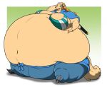  2016 anthro belly belt big_belly big_breasts bottomwear bra breasts canid canine canis cape clothed clothing domestic_dog ears_down female footwear fur hair hand_behind_head hand_on_stomach hectorthewolf mammal morbidly_obese morbidly_obese_anthro morbidly_obese_female navel nervous_smile nervous_sweat obese obese_anthro obese_female one_piece open_mouth overweight overweight_anthro overweight_female pants pivoted_ears shoes sitting solo sword_sheath teeth tongue underwear wanda_(one_piece) wide_eyed 