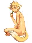  animal_ears artist_request barefoot blonde_hair blue_eyes dog_ears fox_ears fox_tail foxboy full_body kobashi leaf legs_crossed lowres male male_focus naruto nude simple_background sitting solo tail uzumaki_naruto white_background 
