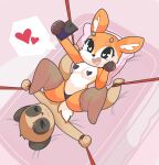  absurd_res aggressive_retsuko antelope anthro anthro_on_anthro bdsm blush bondage bound bovid breasts cellphone chief_komiya clothing digital_media_(artwork) dominant dominant_female duo female gazelle herpestid hi_res holding_object holding_phone legwear male male/female mammal meerkat onigiri_punch open_mouth panties pasties phone sanrio smile stockings tsunoda underwear 