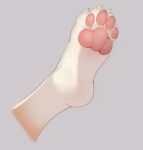  2022 4_toes ambiguous_gender ambiguous_species claws compression_artifacts digital_media_(artwork) disembodied_foot feet foot_focus fur grey_background leg_markings mammal markings multicolored_body multicolored_fur pawpads paws pink_pawpads simple_background socks_(marking) soles tan_body tan_fur toe_claws toes two_tone_body two_tone_fur white_body white_fur whooo-ya 