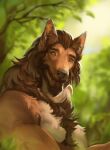  2022 anthro brown_body brown_fur brown_hair canid canine day detailed_background digital_media_(artwork) forest fur hair hi_res male mammal outside plant shwonky sky smile solo tree were werecanid werecanine werewolf 