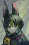  1boy animal_ear_fluff animal_ears bangs black_hair commentary_request earrings flower fox_boy fox_ears genshin_impact green_eyes green_hair hair_between_eyes highres hood hood_down jewelry leaf male_focus medal multicolored_hair parted_lips simple_background single_earring solo streaked_hair tighnari_(genshin_impact) upper_body yellow_flower zaso 