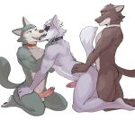  anthro balls beastars bodily_fluids brown_body brown_fur canid canine canis collar collar_only dreamworks erection eye_patch eyewear fur genital_fluids genitals grey_body grey_fur group hi_res humanoid_genitalia humanoid_penis jrjresq kissing legoshi_(beastars) male male/male male_penetrated male_penetrating male_penetrating_male mammal mr._wolf_(the_bad_guys) muscular muscular_anthro muscular_male nintendo nude penetration penis pink_penis sex star_fox tan_body tan_fur the_bad_guys trio video_games white_body white_fur wolf wolf_o&#039;donnell 