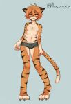  anthro felid feminization girly hi_res hlor_ochka keidran keith_keiser male mammal nipples pantherine solo species_transformation tiger transformation twokinds webcomic 