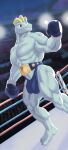  anthro blue_body blue_clothing bulge championship_belt clothing fighting_ring generation_1_pokemon hi_res humanoid machoke male muscular muscular_anthro muscular_male muscular_thighs nintendo pecs pokemon pokemon_(species) red_eyes solo thong tiburalgo underwear video_games wrestler 