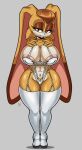  anthro clothing female fever_venus_(artist) garter_straps hi_res leg_markings legwear markings sega sexy_cloths socks_(marking) sonic_the_hedgehog_(series) stockings tagme vanilla_the_rabbit 