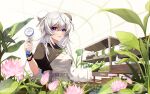  1girl apron arknights bead_bracelet beads bracelet bun_cover cactus double_bun flower gloves green_gloves greenhouse hair_bun highres jewelry kasasasagi lotus mulberry_(arknights) mulberry_(plant_crude_drug)_(arknights) purple_eyes single_glove white_hair 