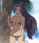  absurdres bikini blue_eyes earrings highres jewelry midriff palm_tree pointy_ears ponytail shantae shantae_(series) solo swimsuit tiara tree 