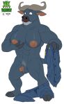  2021 abs anthro blue_body bovid bovine breasts brown_eyes cape_buffalo chief_bogo clothing cloven_hooves curled_horns digital_media_(artwork) disney fingers gender_transformation genitals hi_res hooved_fingers hooves looking_down mammal mid_transformation mth_transformation mti_transformation muscular muscular_anthro navel nipples nude penis penis_shrinking pubes pussy shadowpelt signature simple_background transformation undressing white_background zootopia 