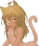  1girl ahoge animal_ears blonde_hair blush breasts cat_ears cat_tail collarbone hawthorn long_hair looking_at_viewer original shiny shiny_hair simple_background small_breasts solo tail tongue tongue_out whiskers white_background yellow_eyes 