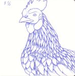  2022 ambiguous_gender avian avian_caruncle beak bird blue_and_white chicken comb_(anatomy) detailed detailed_feathers feathers feral galliform gallus_(genus) guide_lines head_crest hi_res inktober_2022 monochrome number phasianid side_view simple_background sogaroth solo white_background 