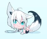  1girl :3 absurdres ahoge animal_ear_fluff animal_ears bangs black_shorts blue_background blue_neckerchief blush braid chibi commentary_request detached_sleeves fox_ears fox_girl fox_tail green_eyes hair_between_eyes highres hololive hood hoodie ikamoworkshop long_hair looking_at_viewer lying midriff navel neckerchief on_back pentagram shirakami_fubuki short_shorts shorts sidelocks simple_background single_braid solo tail virtual_youtuber white_hair white_hoodie 