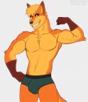  2022 anthro biped blonde_hair brown_body brown_fur bulge canid canine clothing digital_media_(artwork) fox fur hair hi_res male mammal multicolored_body multicolored_fur orange_body orange_fur rustymiko simple_background solo underwear white_background yellow_body yellow_fur 