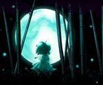  animal_ears back bamboo bamboo_forest bunny_ears fireflies forest from_behind full_moon glowing highres inaba_tewi moon nature night night_sky noya_makoto short_hair sky solo standing tail touhou wind 