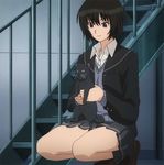  amagami black_cat black_cat_(animal) cat nanasaki_ai short_hair skirt 