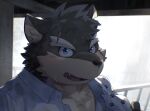  anthro blue_eyes blush canid canine canis domestic_dog eyebrows fur grey_body grey_fur hi_res lifewonders looking_at_viewer male mammal moritaka ponzu_tas scar smile solo thick_eyebrows tokyo_afterschool_summoners towel video_games 
