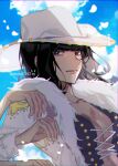 1girl bbzico1267 black_eyes black_hair breasts cleavage closed_mouth cloud cowboy_hat day fur_collar hat highres jacket long_sleeves looking_at_viewer nico_robin one_piece open_clothes open_jacket outdoors petals sky solo twitter_username white_headwear white_jacket 