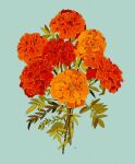  blue_background bouquet commentary commission english_commentary flower highres leaf libbyframe marigold no_humans orange_flower original plant red_flower signature simple_background still_life yellow_flower 