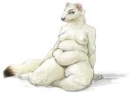  anthro belly breasts cettus female fur mammal maren_sommer mustela mustelid musteline nipples overweight overweight_anthro overweight_female pinup pose simple_background sitting sitting_on_ground slightly_chubby solo stoat true_musteline white_background white_body white_fur 