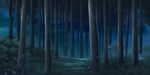  forest grass grasses moonlight nature night no_humans outdoors plant scenery tree 