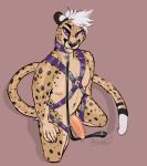  anthro barbed_penis bdsm bondage bound cheetah collar dropp felid feline hair half-erect kneeling leash looking_at_viewer male mammal nipples penis purple_eyes rokemi solo white_hair 