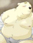  2022 anthro belly big_belly black_nose blush bulge clothing hi_res kemono male mammal moobs navel nipples overweight overweight_male pommn_mn sitting solo underwear ursid 