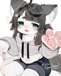  2022 4:5 4_fingers anthro barefoot black_hair blush bottomwear claws clothed clothing cropped_hoodie cute_fangs domestic_cat feet felid feline felis finger_claws fingers fur girly grey_body grey_fur grey_hair hair hi_res hoodie kemono male male_anthro mammal midriff mofuaki navel open_mouth pawpads paws shorts sitting solo toes tongue topwear wariza white_body white_fur young 