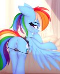  2022 anus blush butt clothed clothing cutie_mark equid equine female feral friendship_is_magic genitals hair hasbro hi_res looking_at_viewer looking_back looking_back_at_viewer mammal multicolored_hair multicolored_tail my_little_pony omiart open_mouth open_smile panties panties_down partially_clothed pegasus purple_eyes pussy rainbow_dash_(mlp) rainbow_hair rainbow_tail smile smiling_at_viewer solo underwear underwear_down wings 