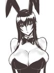  animal_ears arms_behind_back bangs bare_shoulders blush bow bowtie breasts bunny_ears bunnysuit busujima_saeko detached_collar greyscale hair_between_eyes head_tilt highschool_of_the_dead huge_breasts long_hair monochrome parted_lips poin shiny shiny_hair shiny_skin sketch skindentation solo upper_body 