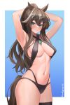  1girl andamiro animal_ears arknights armpits arms_up bangs bikini black_bikini blush braid brown_hair commentary cowboy_shot criss-cross_halter french_braid green_eyes hair_between_eyes halterneck highres horse_ears jewelry long_hair looking_at_viewer meteor_(arknights) multi-strapped_bikini navel pendant ponytail smile solo standing stomach swimsuit tail thighs very_long_hair 