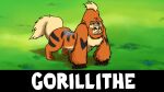  ambiguous_gender ape ergomancy feral fur generation_1_pokemon gorilla grass growlithe haplorhine hi_res hybrid looking_at_viewer mammal nintendo orange_body orange_fur outside plant pokemon pokemon_(species) primate solo video_games 