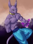  2021 absurd_res anthro aura beerus biceps blue_bottomwear blue_clothing blue_pants bottomwear chibikoma clothing collar deity digital_drawing_(artwork) digital_media_(artwork) domestic_cat dragon_ball dragon_ball_super felid feline felis hairless hairless_cat hi_res looking_at_viewer male mammal muscular muscular_anthro muscular_male pants pecs purple_body purple_tail shirtless_anthro shirtless_male sphynx_(cat) yellow_sclera 