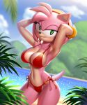  2022 amy_rose anthro bikini black_nose camel_toe clothing cloud digital_media_(artwork) eulipotyphlan eyelashes female green_eyes hair hedgehog hi_res looking_at_viewer looking_back mammal navel outside pak009 pink_hair red_bikini sega solo sonic_the_hedgehog_(series) swimwear 