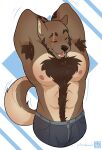  anthro bodily_fluids canid canine canis clothed clothing fur hair hi_res kaionart male mammal nude pecs simple_background solo wolf 