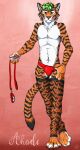  absurd_res ahaditiger anthro felid fishnet_clothing fishnet_leggings hi_res leash_and_collar looking_at_viewer male mammal pantherine pinup plantigrade pose siberian_tiger simple_background solo stripes suggestive sunny_frostwolf tiger 