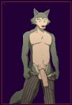  anthro balls beastars big_penis bottomwear bottomwear_down canid canine canis clothed clothing delirost genitals legoshi_(beastars) male mammal pants pants_down partially_clothed penis scar solo topless wolf 