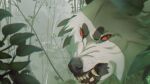 16:9 ambiguous_gender angry blackscour canid cheek_tuft facial_tuft fangs feral fur grey_nose hi_res leaf mammal open_mouth outside red_eyes solo tan_teeth tuft whiskers white_body white_fur widescreen 