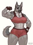  2022 abs anthro athletic athletic_anthro athletic_female big_breasts black_eyebrows black_nose bottomwear bra breasts canid canine canis cleavage clothed clothing digital_media_(artwork) domestic_dog eyebrows female fingerless_gloves fingers fist flexing flexing_bicep fully_clothed fur fur_tuft german_shepherd glistening glistening_eyes gloves grey_body grey_fur hand_on_hip handwear herding_dog hi_res humanoid_hands looking_aside mammal multicolored_body multicolored_fur muscular muscular_anthro muscular_arms muscular_female muscular_thighs navel pastoral_dog portrait prick_ears rawslaw5 red_bottomwear red_bra red_clothing red_eyes red_gloves red_handwear red_shorts red_underwear shorts signature simple_background smile solo sports_bra standing thick_neck thick_thighs three-quarter_portrait tuft two_tone_body two_tone_fur underwear white_background white_body white_fur wide_hips 