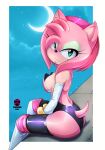  amy_rose anthro black_nose breasts butt clothed clothing eulipotyphlan eyelashes female fur head_tuft hedgehog hi_res looking_at_viewer mammal moon outside pink_body pink_fur sega signature sitting sky solo sonic_the_hedgehog_(series) tlacuicani-studio_(artist) tuft 