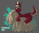  abdominal_bulge anthro belly big_belly canid canine canis digestion digital_media_(artwork) fluffy fluffy_tail fur male mammal neck_tuft oral_vore red_body rumbling_stomach simple_background smile solo taur teeth tuft vore vox_(awoogasm) vox_(voxelcubed) wolf yerbabuena 